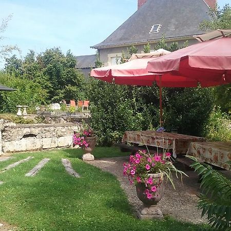 Bed and Breakfast Le Moulin Du Modon Proche Du Zooparc De Beauval Couffy Екстер'єр фото
